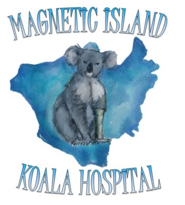 MagneticIslandKoalaHospital