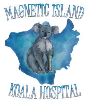 MagneticIslandKoalaHospital